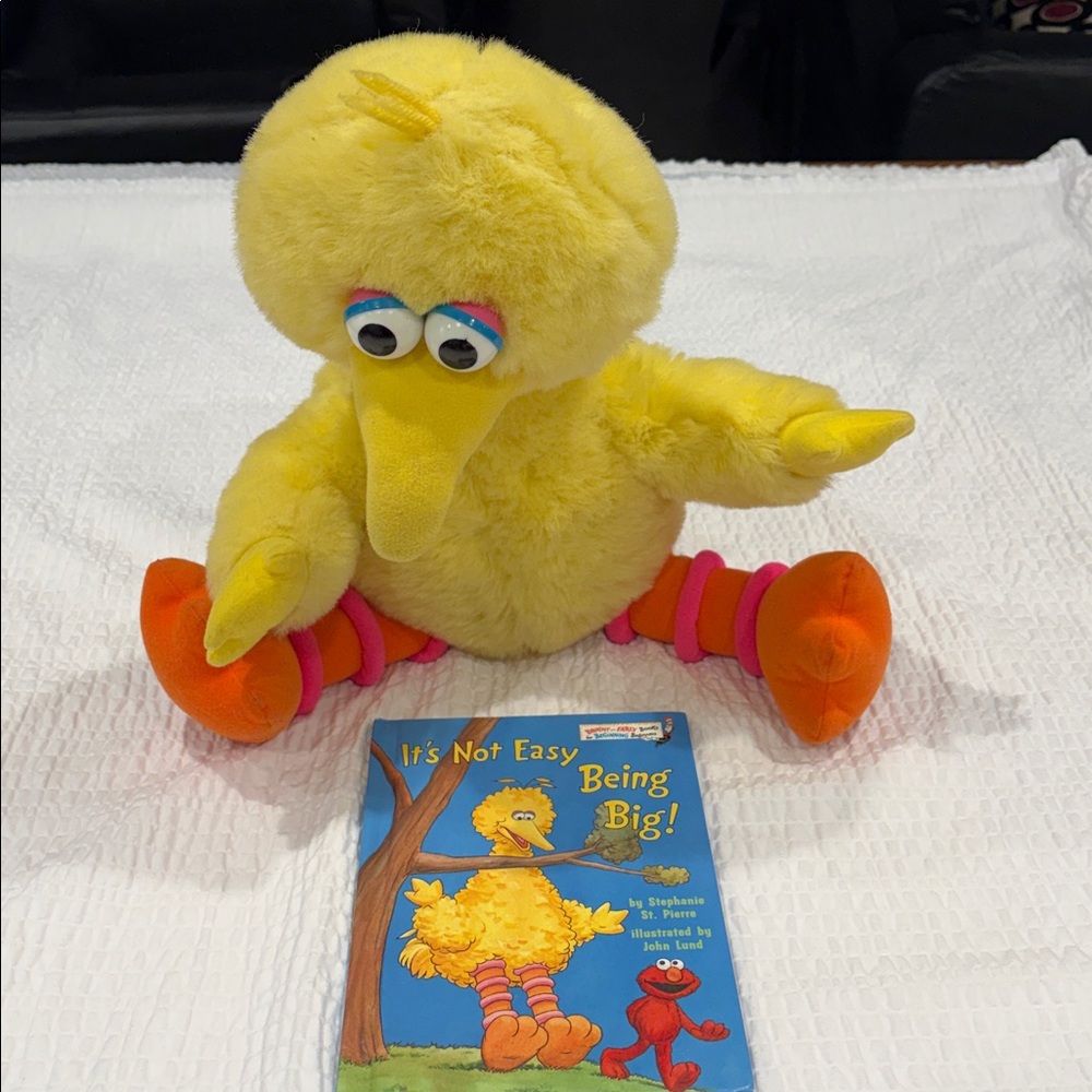 Large talking Big Bird toy & story book